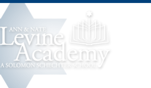 levine academy