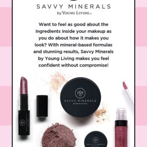 Savvy Mineral Premium Starter Kit is HERE {almost!}