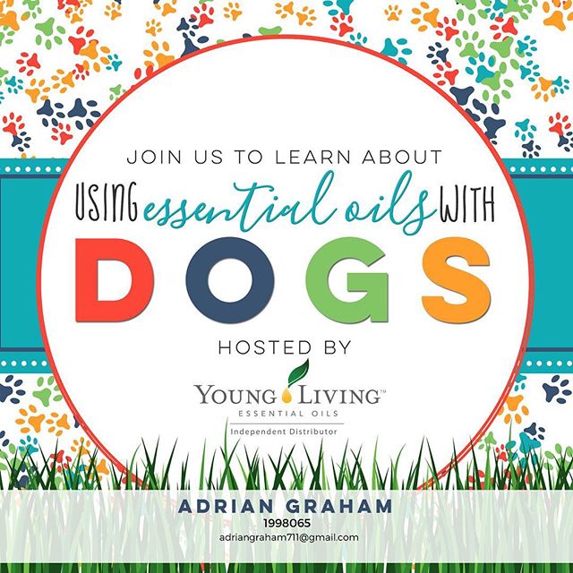 I’m running some info on using EO’s with and around your Favorite 🐕  . Let me know if you’d like an invite.  #learningtolivefree #bestfriend #livefree